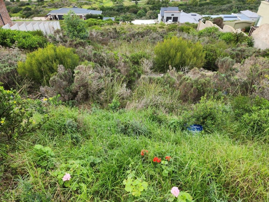 0 Bedroom Property for Sale in Island View Western Cape